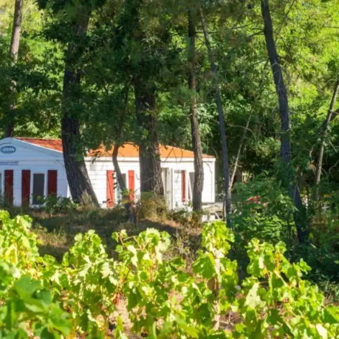 Terra Villa Immobilier Terrain De Loisir A Vendre Uzes Joyeuse03